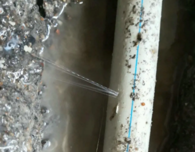 七台河市测漏水哪家好