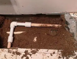 七台河市测漏水哪家好