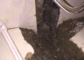 七台河市卫生间测漏水哪家好