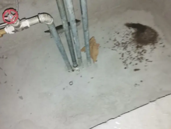 七台河市卫生间测漏水价格明细