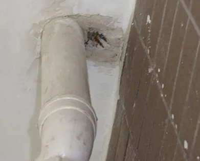 七台河市漏水检测哪家好